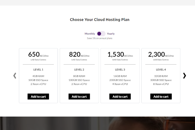 Tasjeel custom divi pricing module